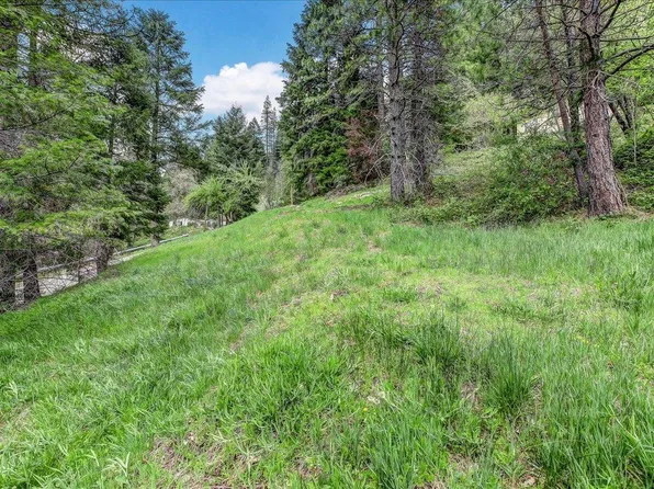 118 E River St, Downieville, CA 95936