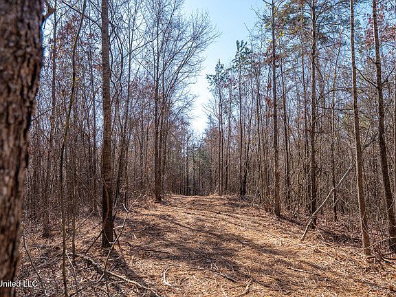 3rd image of 0 Green Door Rd