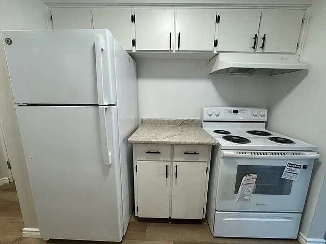 236 Louisa Street Kitchener — Photo 4