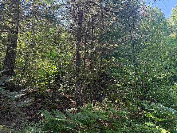 3rd image of XXB Rocky Top Trail