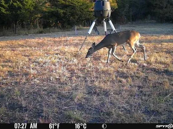 0 County Road 4519, Wolfe City, TX 75496