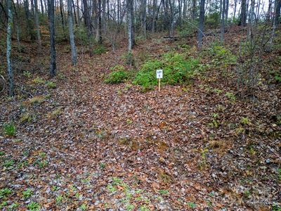 116 Cherry Cove Way #6, Old Fort, NC, 28762