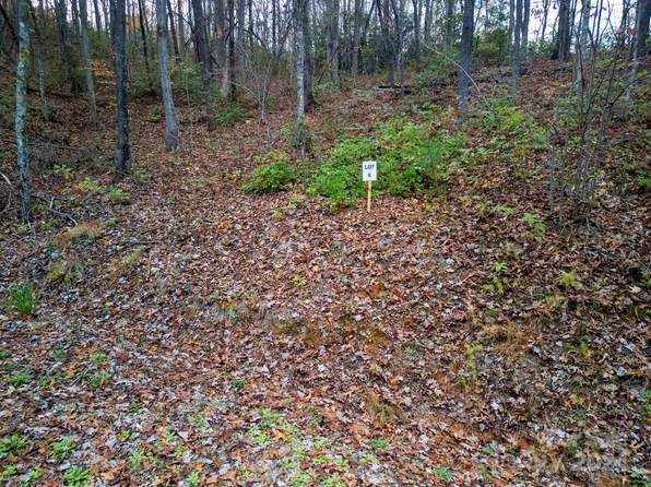 116 Cherry Cove Way #6, Old Fort, NC 28762
