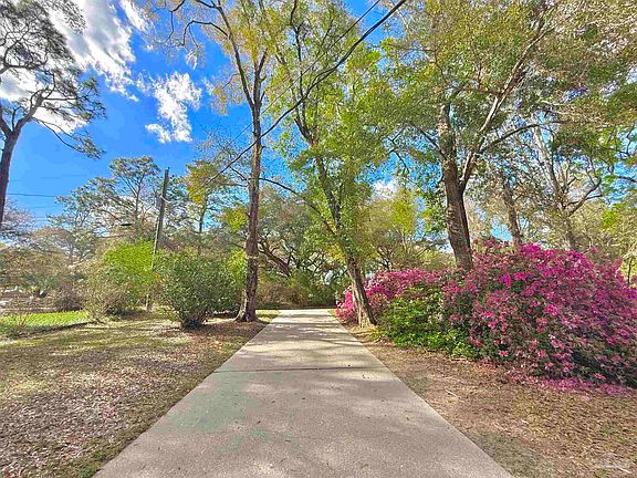 5th image of 185 Deerfoot Ln