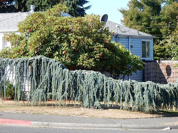 3rd image of 7002 Yakima Ave