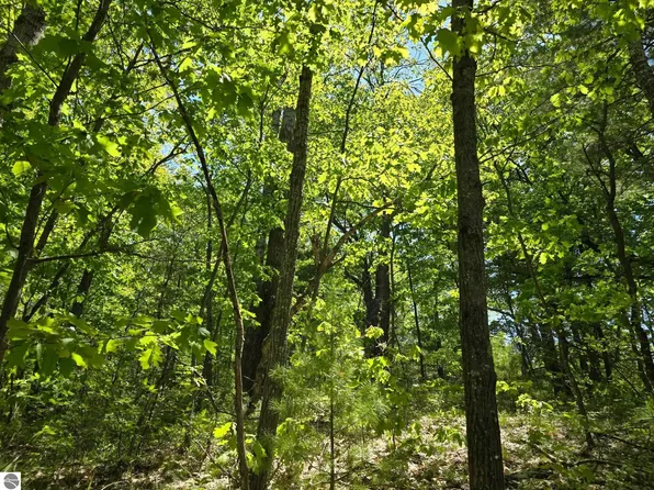 0 E Long Lake Rd, Cadillac, MI 49601