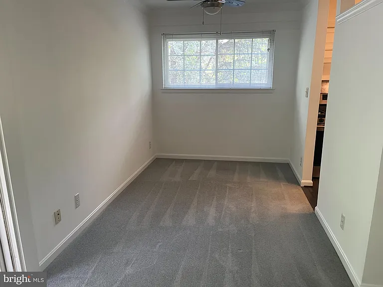 921 Prospect St #5 — Photo 18