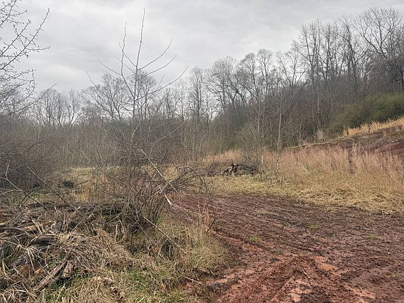 2nd image of Homewood Rd