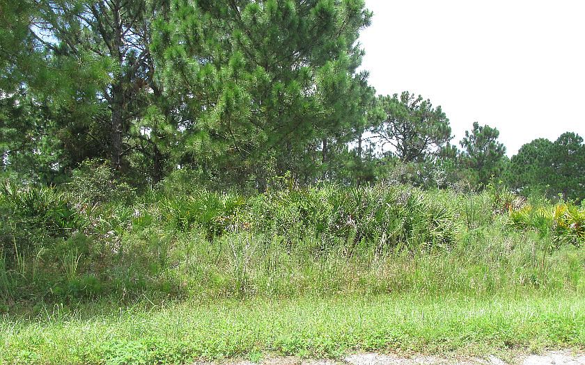 1st image of 5557 Castania Dr