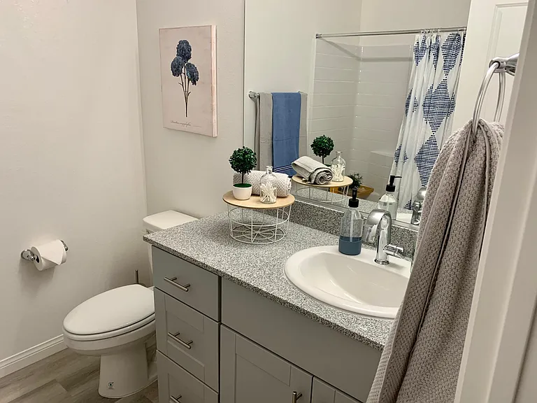 2828 Mosaic Moon Ln — Photo 40
