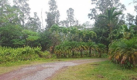 2nd image of Pikake St Lot 18