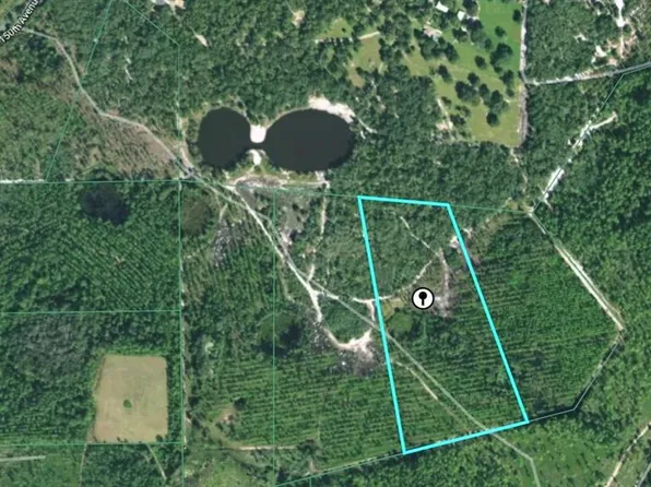NE 115th Lane Rd, Fort Mc Coy, FL 32134
