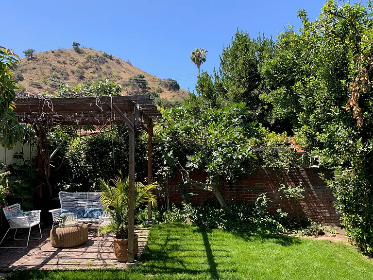 BACK YARD