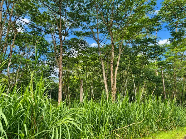 Pikake Rd Lot 213, Pahoa, HI 96778