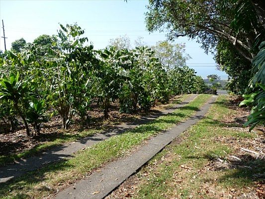 3rd image of 74-4993 Mamalahoa Hwy