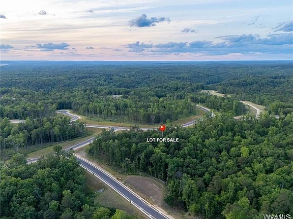 2nd image of 10 Lake Island Rd