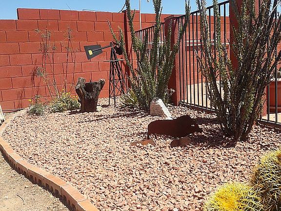 Mature desert landscaping