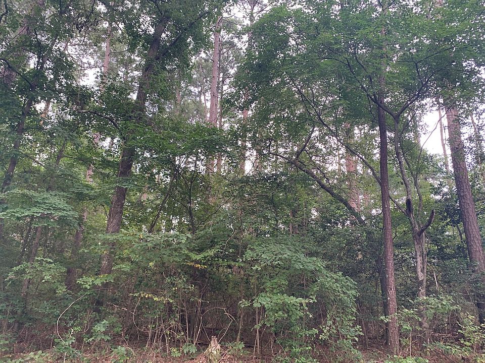 2nd image of Mount Willie Rd