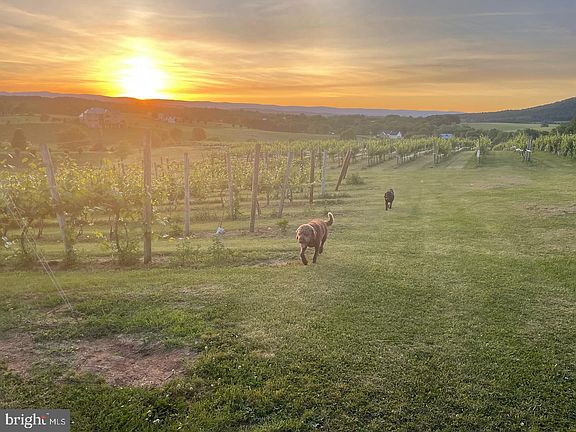 2nd image of 2110 Quicksburg Rd