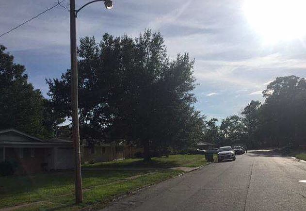 2nd image of 3404 Violet Dr