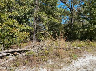 4230 Brandi Ln, Middleburg, FL 32068