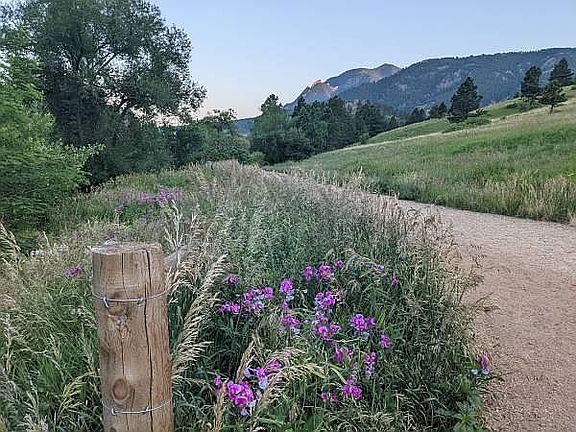 A trail head leading to great hiking just minutes from home.