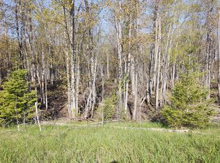 M-65 N, Posen, MI 49776
