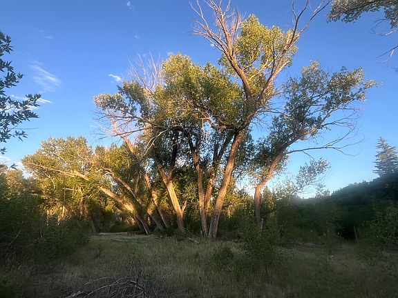 3rd image of County Road 332