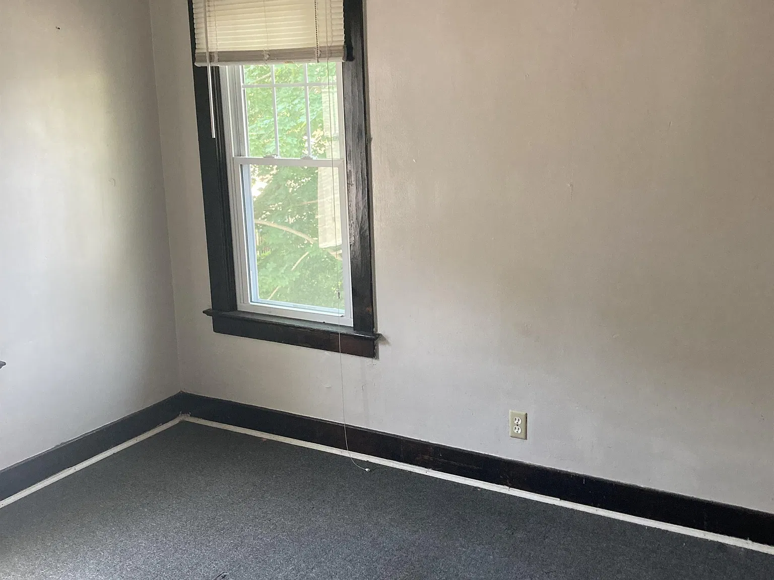310 E Main Street - 3B — Photo 4