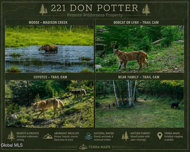 2nd image of 221 Don Potter Road
