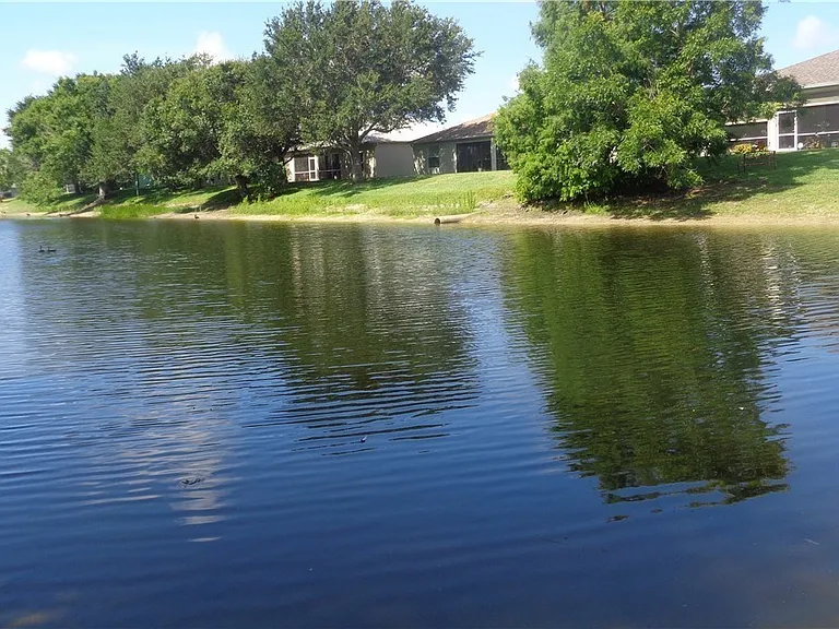 2463 Nature Pointe Loop — Photo 48