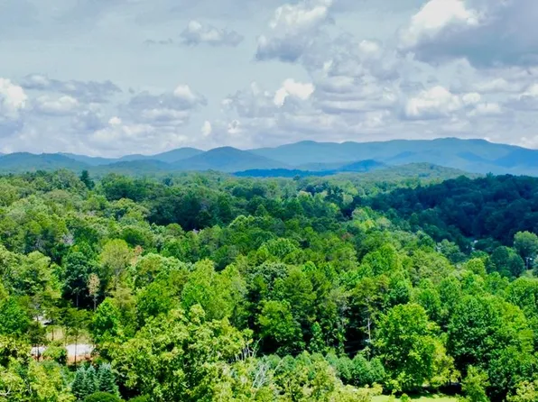 16 Mystic Ct, Ellijay, GA 30540