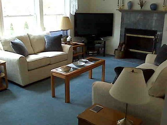 wood burning fireplace