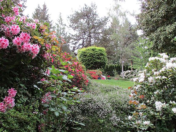 Flowers in front yard
