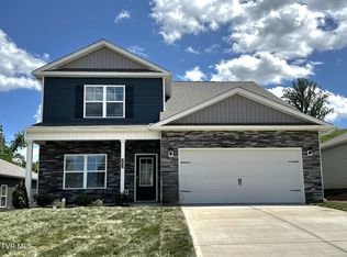 202 Golden Rod Dr, Bluff City, TN 37618