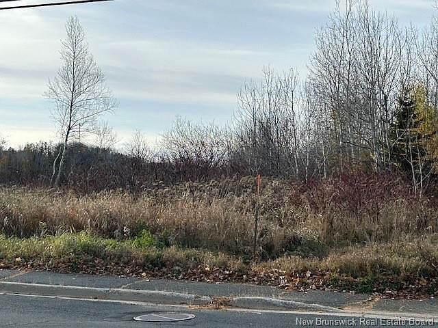 2nd image of 874 Riverside Dr