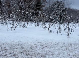 Mason Dr, Newaygo, MI 49337