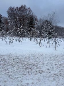 Mason Dr, Newaygo, MI, 49337