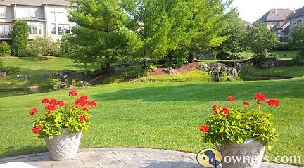 Backyard View