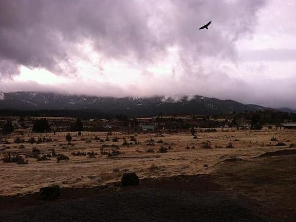 4th image of 698-425 Castlerock
