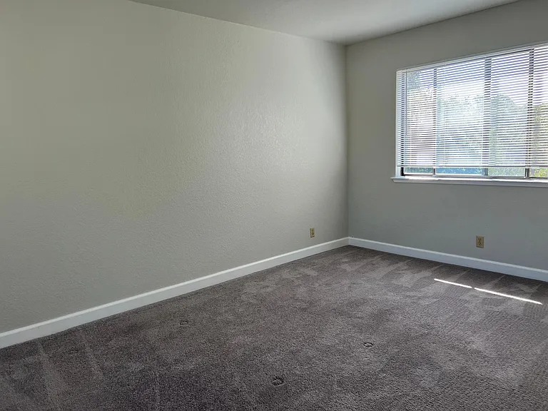 2524 Charlene Ln — Photo 53