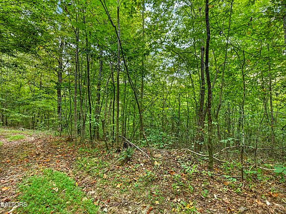 3rd image of 32 Timber Ridge Ln