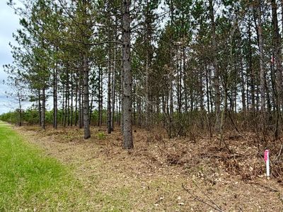 2325 Lund Rd, Harshaw, WI, 54529