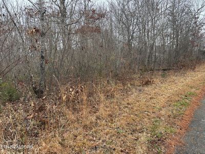 Everett Ln, Robbins, TN, 37852