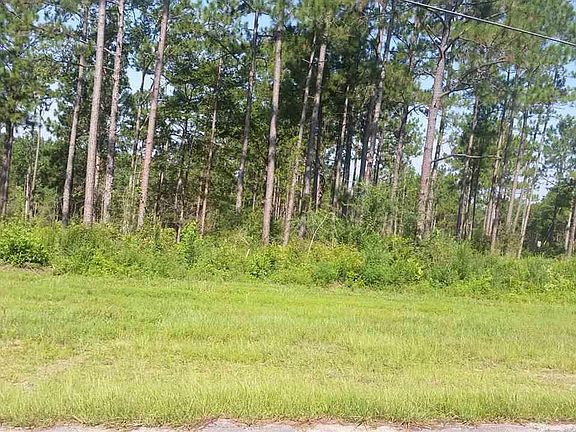 4th image of Old Palafox Hwy