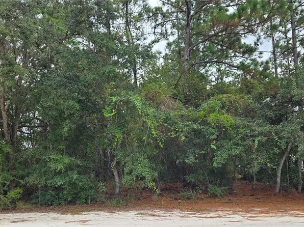 13476 Canada Goose Rd Lot 1, Brooksville, FL 34614