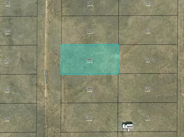 Tarryall Street LOT 18, Hartsel, CO 80449