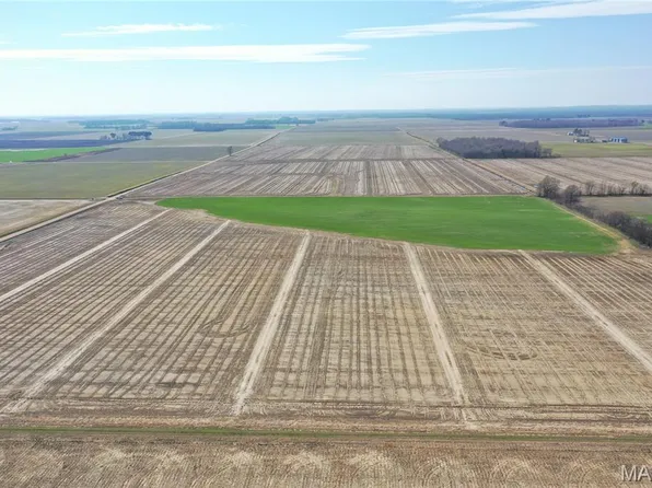 Clay County Rd #172, Success, AR 72470