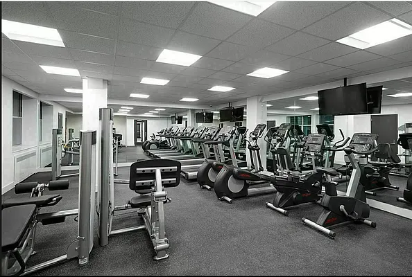 Rented by Douglas Elliman | media 16