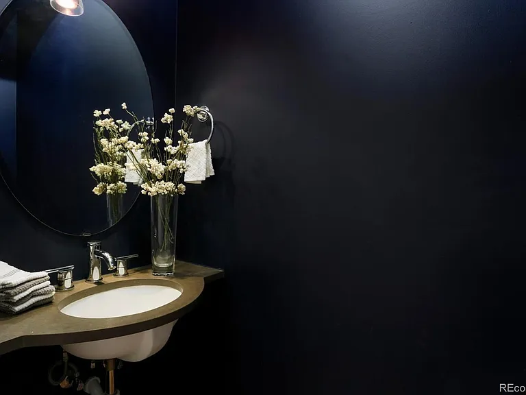 Guest Bathroom (Main Level)